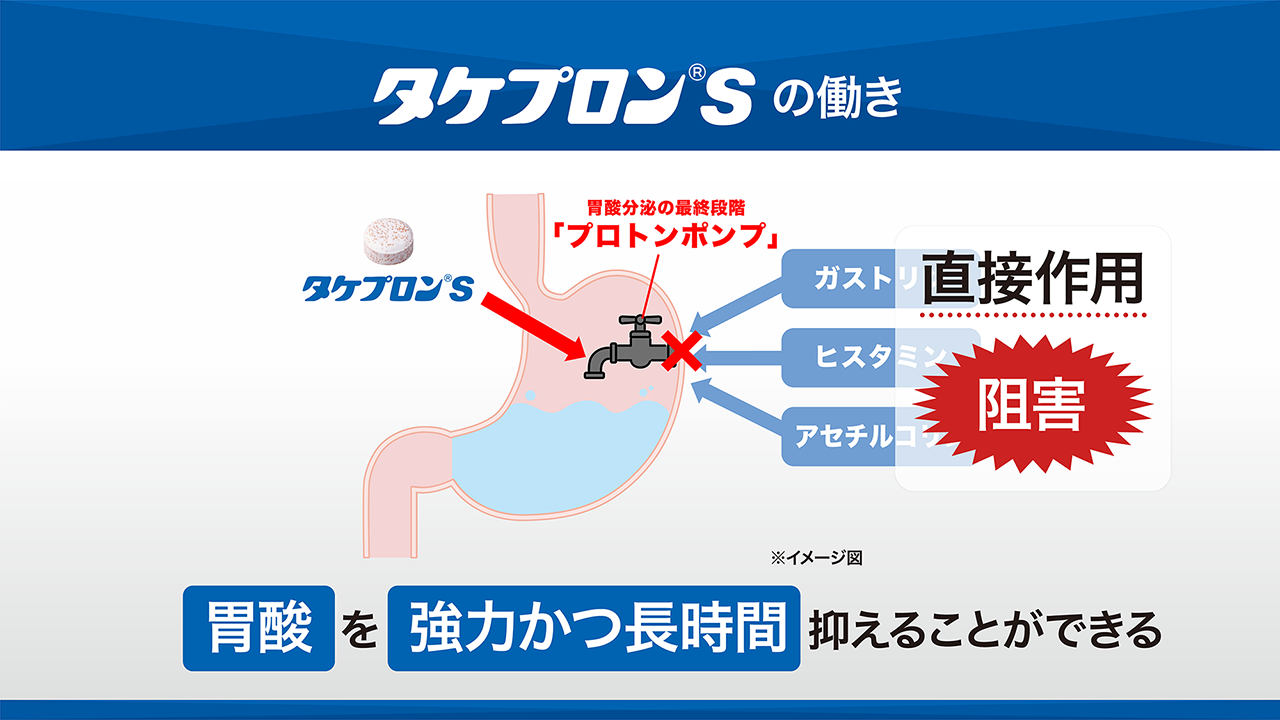 動画を見る