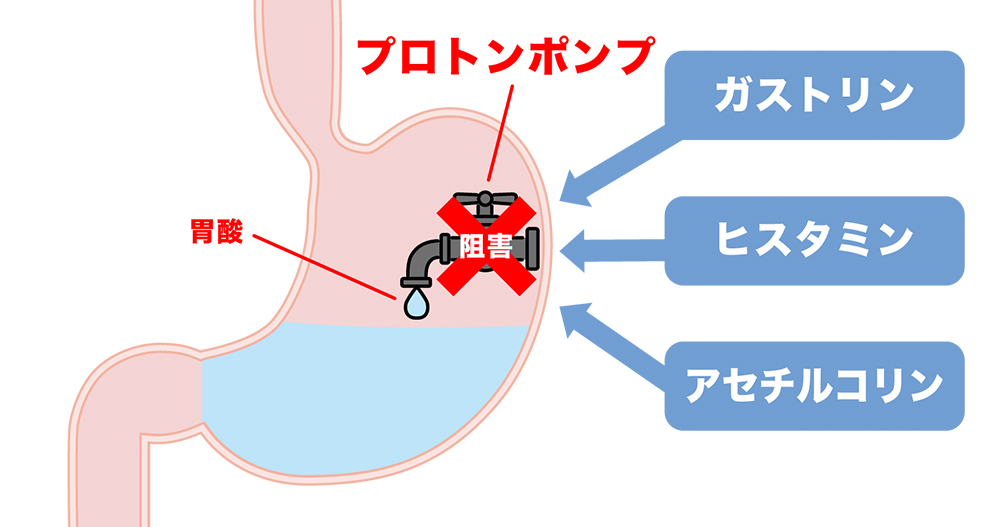 PPIの作用