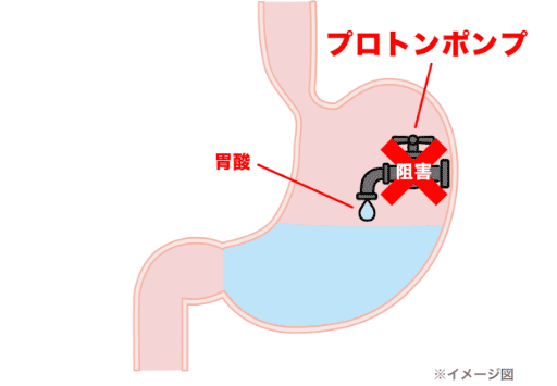 胃酸とプロトンポンプのイメージ図
